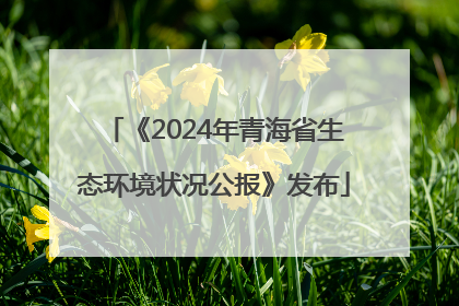 《2024年青海省生态环境状况公报》发布