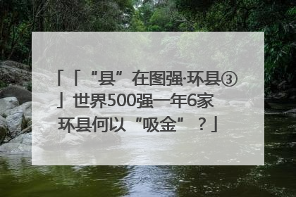 「“县”在图强·环县③」世界500强一年6家 环县何以“吸金”？