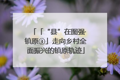 「“县”在图强·镇原③」走向乡村全面振兴的镇原轨迹