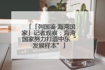 「列国鉴·海湾国家」记者观察：海湾国家努力打造中东“发展样本”
