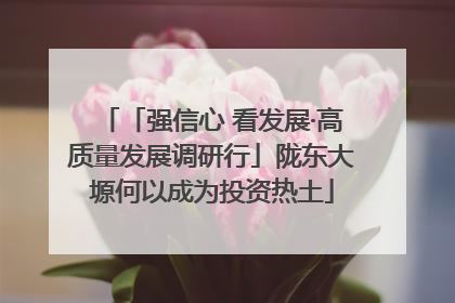 「强信心 看发展·高质量发展调研行」陇东大塬何以成为投资热土
