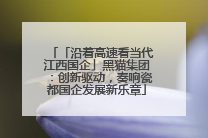 「沿着高速看当代江西国企」黑猫集团：创新驱动，奏响瓷都国企发展新乐章