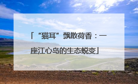 “猫耳”飘散荷香：一座江心岛的生态蜕变