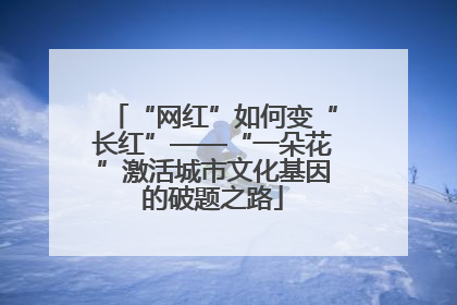“网红”如何变“长红”——“一朵花”激活城市文化基因的破题之路