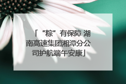 “粽”有保障 湖南高速集团湘潭分公司护航端午安康
