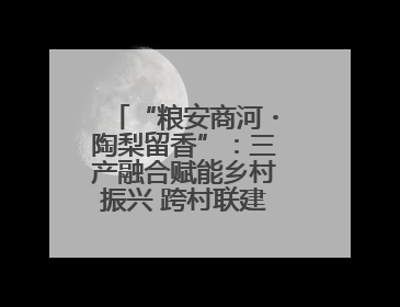 “粮安商河・陶梨留香”：三产融合赋能乡村振兴 跨村联建绘就共富画卷