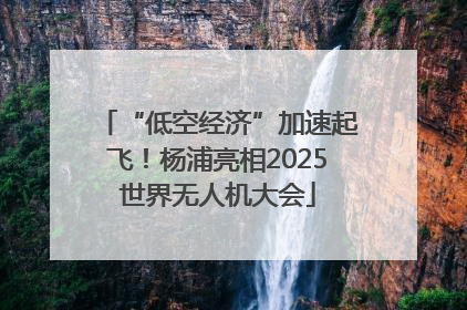 “低空经济”加速起飞！杨浦亮相2025世界无人机大会