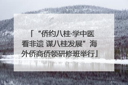 “侨约八桂·学中医 看非遗 谋八桂发展”海外侨商侨领研修班举行