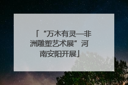 “万木有灵—非洲雕塑艺术展”河南安阳开展