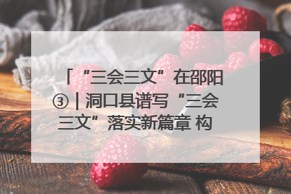 “三会三文”在邵阳③｜洞口县谱写“三会三文”落实新篇章 构建协同联动大格局