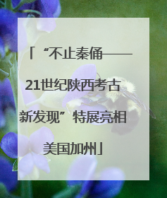 “不止秦俑——21世纪陕西考古新发现”特展亮相美国加州