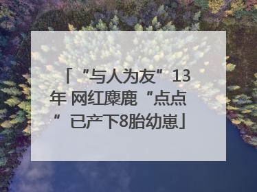 “与人为友”13年 网红麋鹿“点点”已产下8胎幼崽