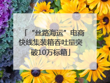 “丝路海运”电商快线集装箱吞吐量突破10万标箱