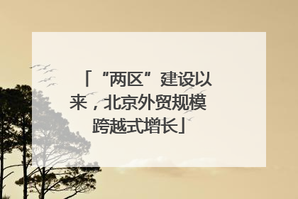 “两区”建设以来，北京外贸规模跨越式增长