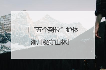 “五个到位”护体 淅川稳守山林