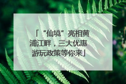 “仙境”亮相黄浦江畔，三大优惠游玩政策等你来