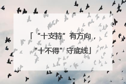 “十支持”有方向，“十不得”守底线