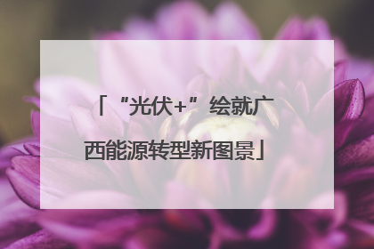 “光伏+”绘就广西能源转型新图景