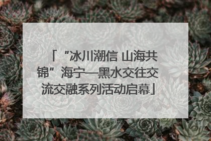 “冰川潮信 山海共锦”海宁—黑水交往交流交融系列活动启幕