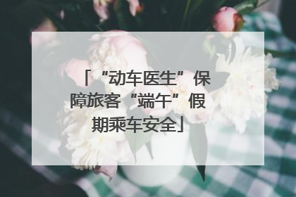 “动车医生”保障旅客“端午”假期乘车安全