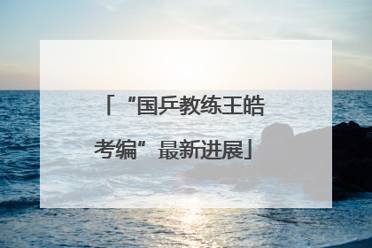“国乒教练王皓考编”最新进展