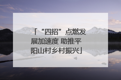 “四招”点燃发展加速度 助推平阳山村乡村振兴