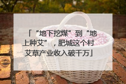 “地下挖煤”到“地上种艾”，肥城这个村艾草产业收入破千万