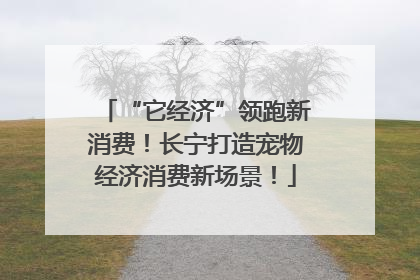 “它经济”领跑新消费！长宁打造宠物经济消费新场景！