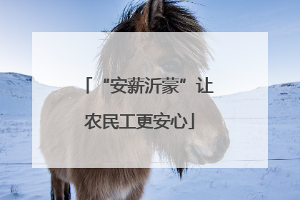 “安薪沂蒙”让农民工更安心