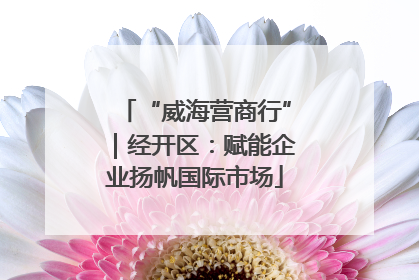 “威海营商行”｜经开区：赋能企业扬帆国际市场