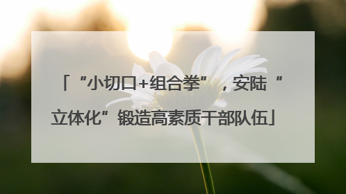“小切口+组合拳”，安陆“立体化”锻造高素质干部队伍