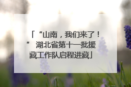 “山南，我们来了！” 湖北省第十一批援藏工作队启程进藏