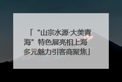 “山宗水源·大美青海”特色展亮相上海 多元魅力引客商聚焦