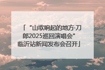“山歌响起的地方·刀郎2025巡回演唱会”临沂站新闻发布会召开