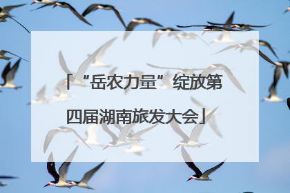“岳农力量”绽放第四届湖南旅发大会