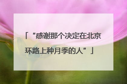 “感谢那个决定在北京环路上种月季的人”
