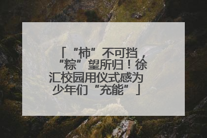 “柿”不可挡，“粽”望所归！徐汇校园用仪式感为少年们“充能”