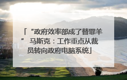 “政府效率部成了替罪羊” 马斯克：工作重点从裁员转向政府电脑系统