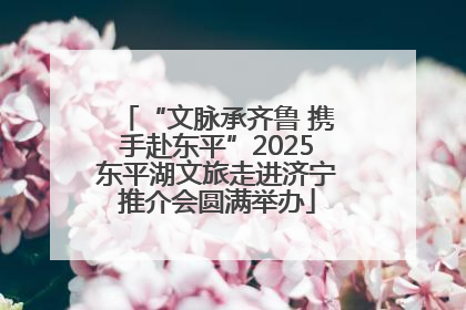 “文脉承齐鲁 携手赴东平”2025东平湖文旅走进济宁推介会圆满举办