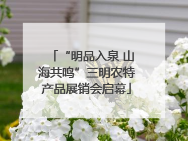 “明品入泉 山海共鸣”三明农特产品展销会启幕