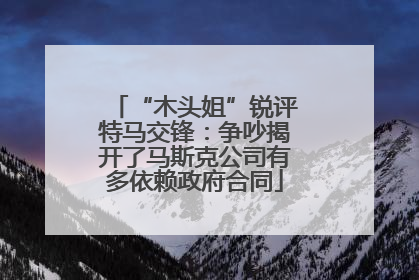 “木头姐”锐评特马交锋：争吵揭开了马斯克公司有多依赖政府合同