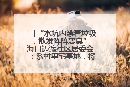 “水坑内漂着垃圾，散发阵阵恶臭” 海口迈瀛社区居委会：系村里宅基地，将派人打捞垃圾