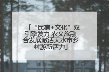 “民宿+文化”双引擎发力 农文旅融合发展激活天水市乡村游新活力