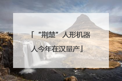 “荆楚”人形机器人今年在汉量产
