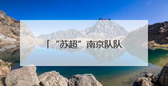 “苏超”南京队队徽是怎么来的？收藏家王世清细说源头