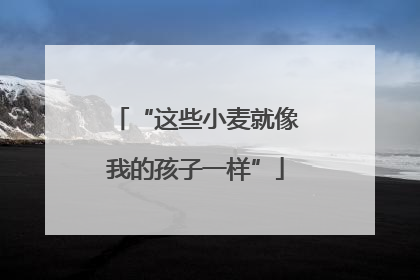 “这些小麦就像我的孩子一样”