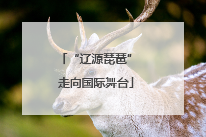 “辽源琵琶” 走向国际舞台