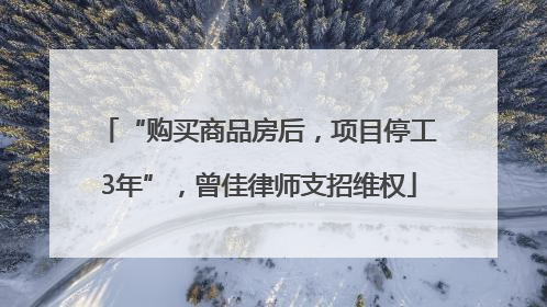 “购买商品房后，项目停工3年”，曾佳律师支招维权