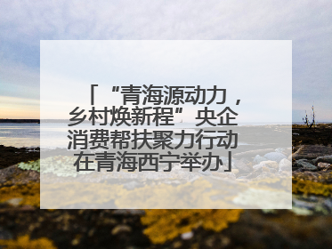 “青海源动力，乡村焕新程”央企消费帮扶聚力行动在青海西宁举办