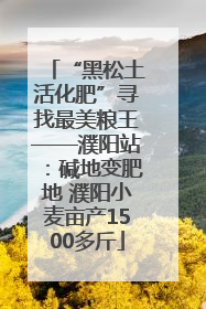 “黑松土活化肥”寻找最美粮王——濮阳站：碱地变肥地 濮阳小麦亩产1500多斤